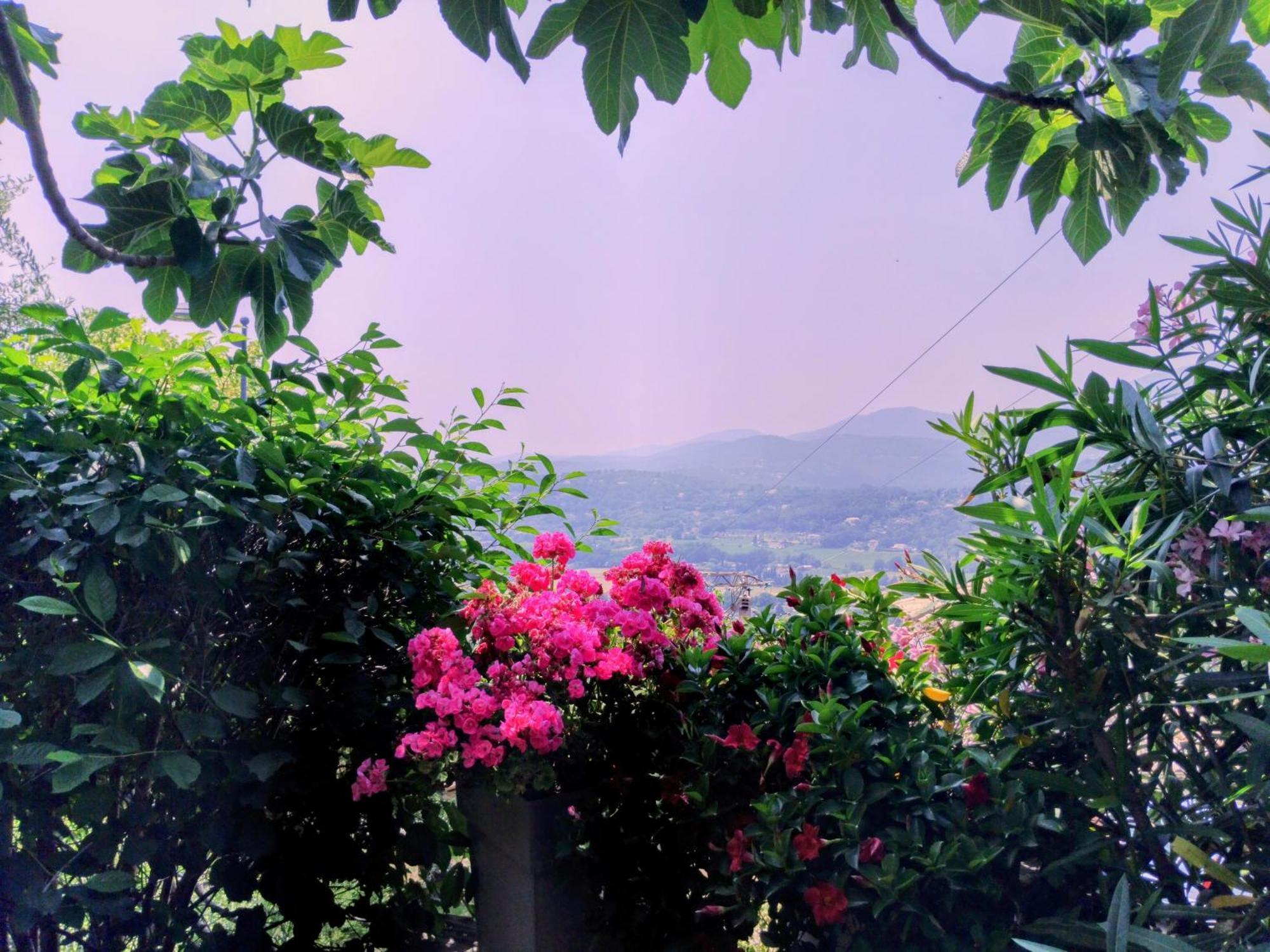 Double Room Terrace Pool View