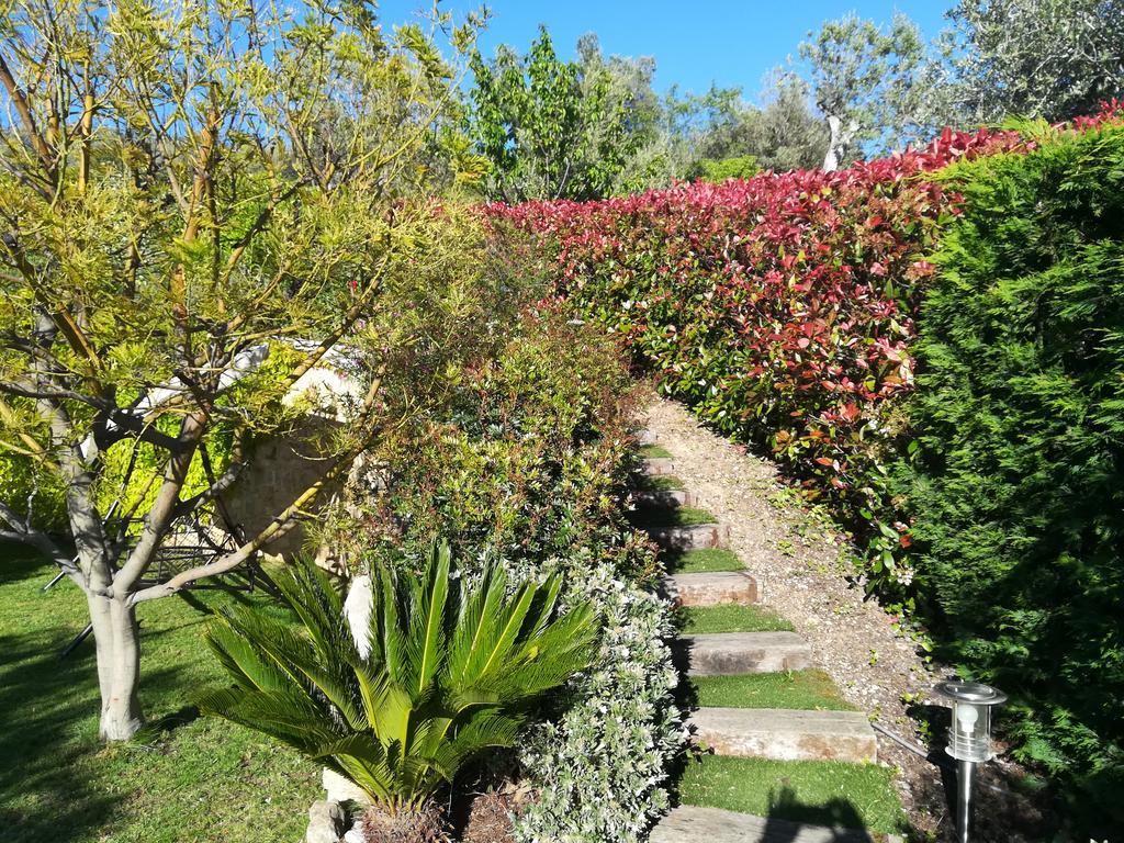 Superior Double Room Terrace